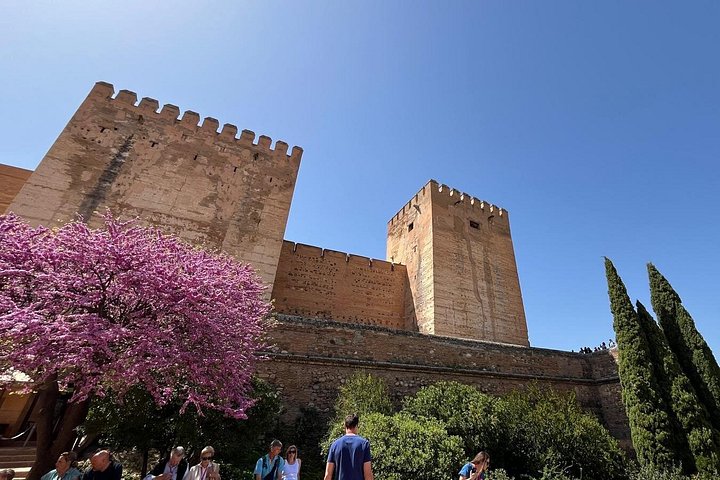 Alcazaba towers seen from the Alhambra’s public grounds