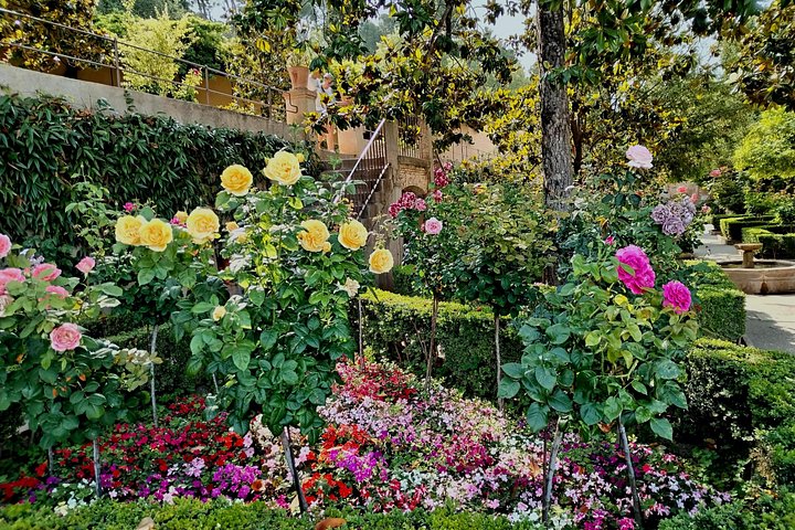 Roses and planted terraces in the Generalife gardens