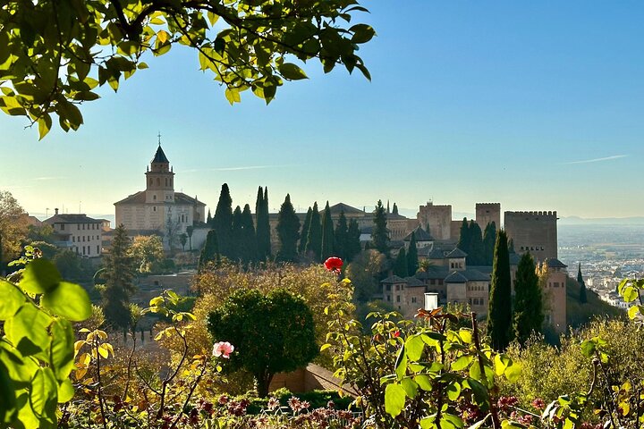 Alhambra towers beyond roses and leafy branches in the Generalife gardens