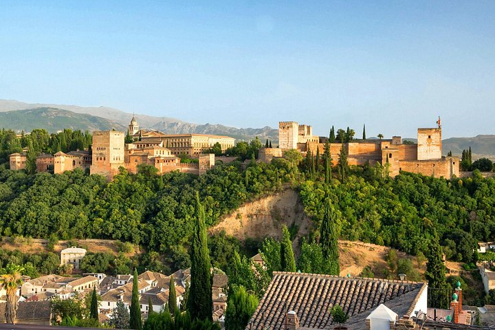 Alhambra towers rising above woodland and the white buildings of Granada